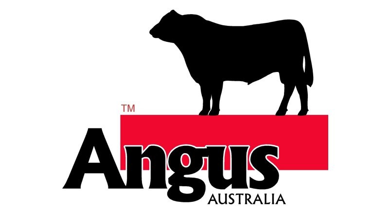 Logo Design: Angus Australia | Alternative Concepts